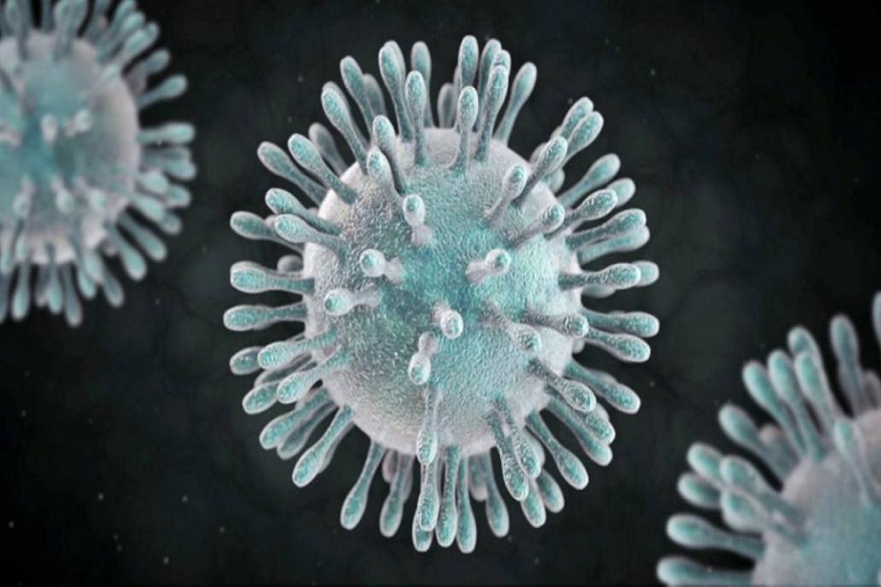 Вакцина от коронавируса: быть или не быть?