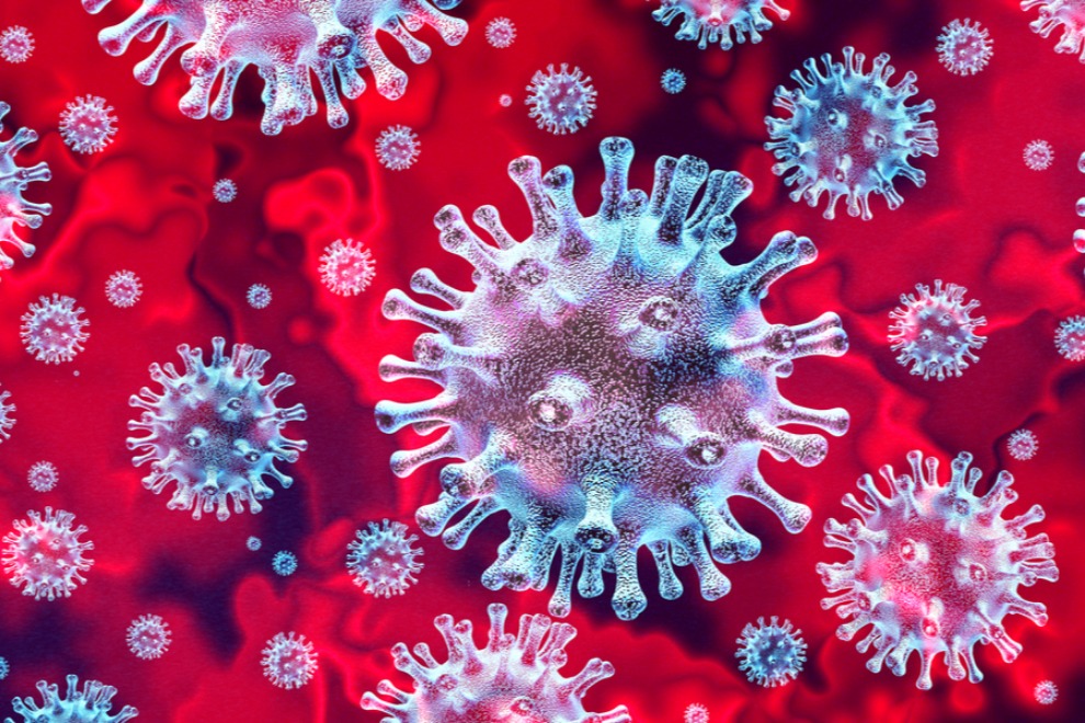 Сколько часов живет коронавирус?