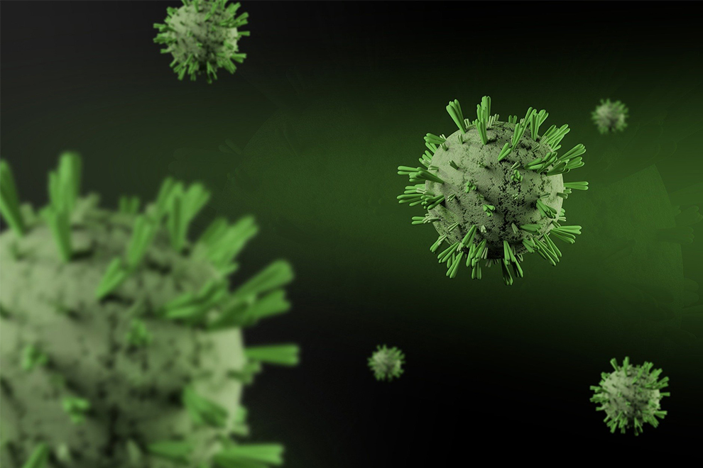 Вспышка нового вируса в Китае. На этот раз не коронавирус!