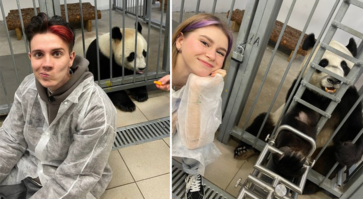Ваша Маруся и Влад Левский накормили панд мороженным в Московском зоопарке