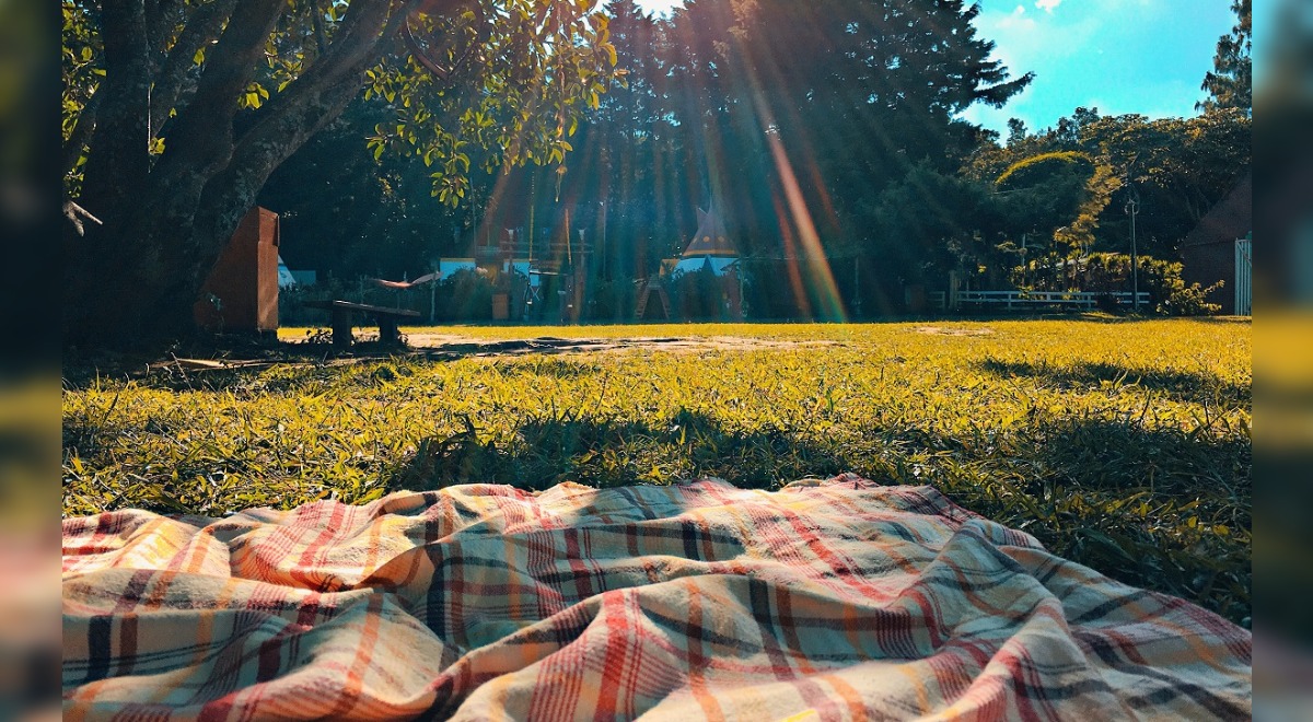 Сезон встреч на природе объявляется открытым: что берем с собой на пикник?