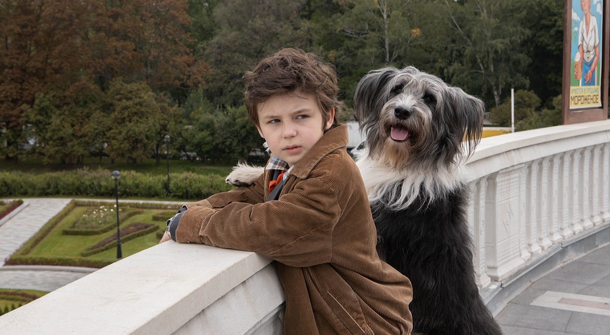 16 мая в прокат выходит фильм «Каждый мечтает о собаке»