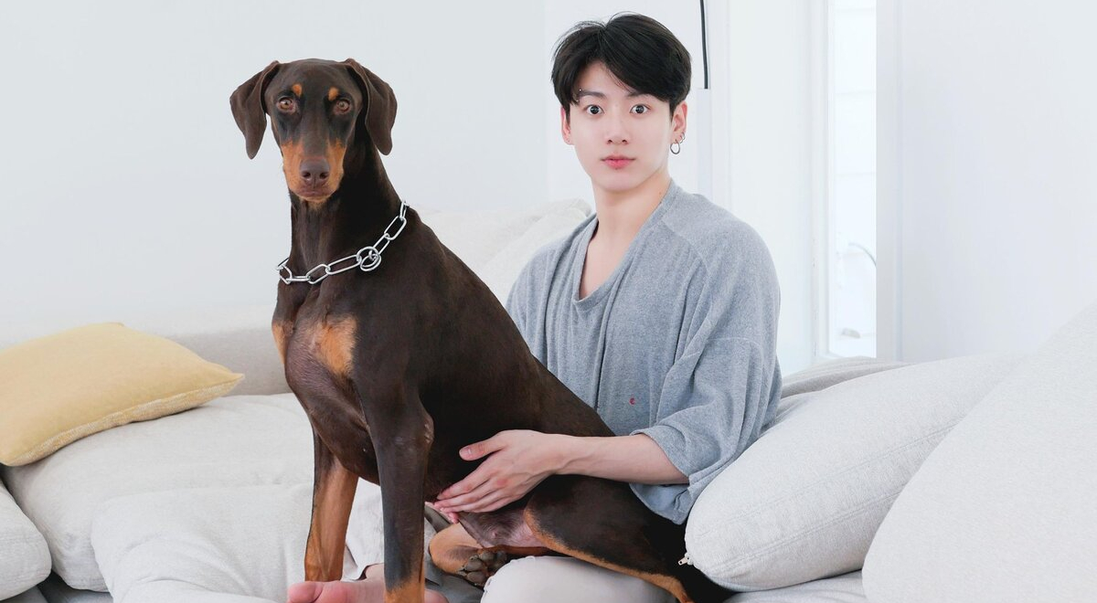 Стал настоящей звездой: как собака Чонгука из BTS прославилась на весь мир